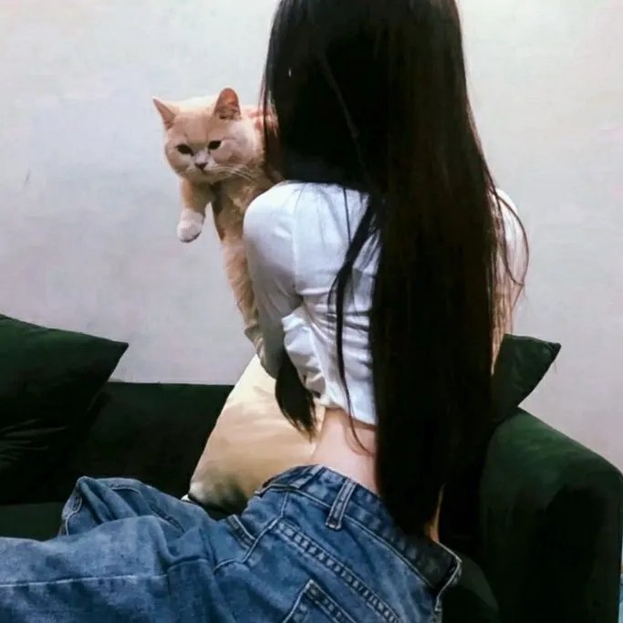 狐狸躲进洞